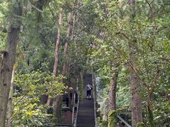 -浏阳石牛寨风景区