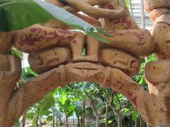 -石家庄市植物园