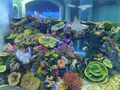 -成都浩海立方海洋公园