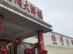 -扬浦大酒楼(平顶山路店)