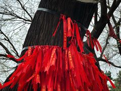 -隆兴寺