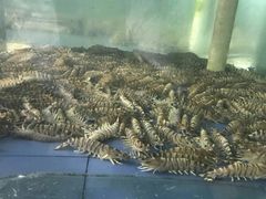 -山东八大碗山东老字号