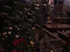 -七贤国际青年旅舍(西七路分店)