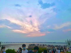 -宝安西湾红树林湿地公园