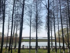 -太湖湖滨国家湿地公园-停车场