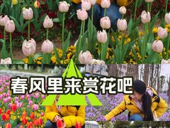 -东南大学(九龙湖校区)