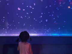 -太平洋海底世界