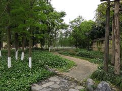 -乌村