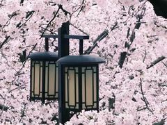 -苏州上方山国家森林公园