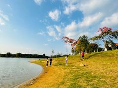 -松山湖风景区松湖烟雨