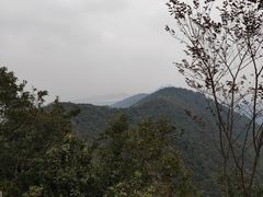 -杭州半山国家森林公园