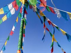 -武清南湖绿博园