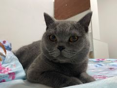 -白金汉爵大酒店-24小时餐厅