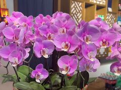 -紫腾大院·南京菜(江宁店)