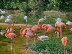 -杭州野生动物世界