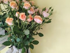 -秦美花卉(天朗·莱茵小城2期店)