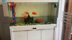 -非常六加一儿童摄影(同安店)