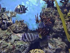 -常州海昌海洋探索馆