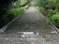 -神光山国家森林公园