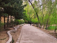 -青城公园