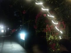 -信德中旅船务管理有限公司