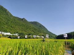 -万峰林风景区