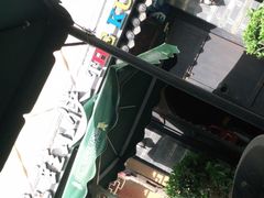 -蛙小侠(珠海华发商都店)