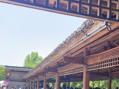 -江西龙虎山景区