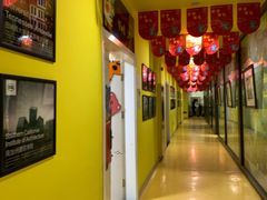 -杨梅红艺术教育(凤城教学中心)