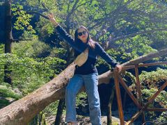 -青峰峡国家森林公园