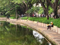 -晓港公园