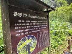 -百魔洞景区