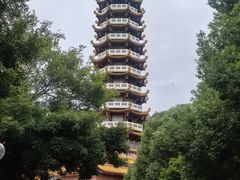 -仙岳公园