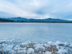 -野鸭湖国家湿地公园