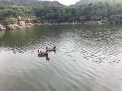 -白马涧龙池景区
