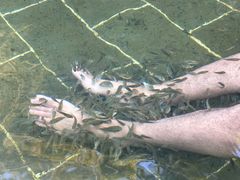 -山湖温泉