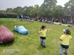 -上海都市菜园