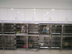 -佳雯宠物医院(四明中路分院)