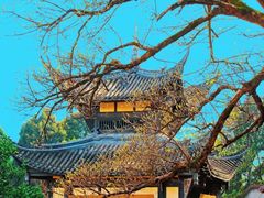 -中国观音故里广德景区