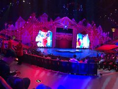 -珠海横琴长隆《卡卡虎奇遇记》