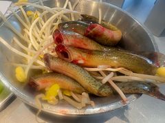 -大虎老火锅(直港大道店)