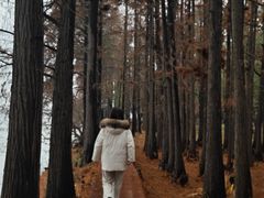 -东湖落雁景区