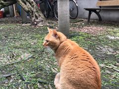 -小雅青年旅舍(平江路店)