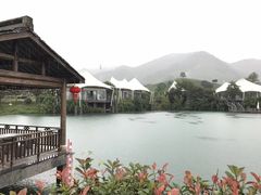 -帐篷客·溪龙茶谷度假酒店