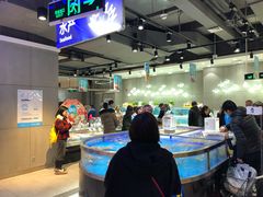 水产区-盒马鲜生(财富中心店)