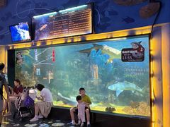 -烟台海昌鲸鲨海洋公园