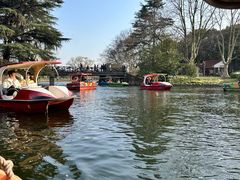 -上海海湾国家森林公园