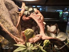 -宠物世家(仲盛世界商城店)