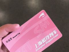 -浦东1号2号航站楼(地铁站)