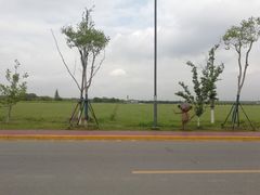 -梁鸿国家湿地公园
